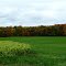 Fall time