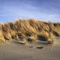 Stubbs Island dunes