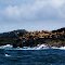 Sea Lions
