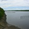Northwest Miramichi River - gaspereau fishery