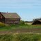 Old Farm houses near Eaglesham, Alberta