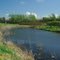 Avalon Pond