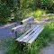 Bench on the Bilberry Ravine path, Ottawa