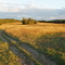Fields of Hay, Near Frenchville Maine