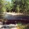 Portage River & Log