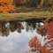 Autumn in Canada - Photo by Jackie Premo-Greene