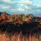 Autumn along the railway.