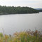 Maple lake from road