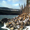 Finbow