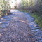 Community Forest