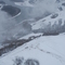 elk on Peace River breaks