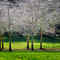 Cornwall Park