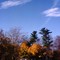 autumn farmstead