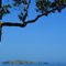 View on Motukorea Island (Browns Island) from Rangitoto