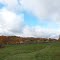 Fall Indiana Farm