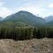 Logging Road South of Gold River