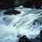Gold River 1999