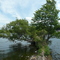 Rice Lake railway dam at Harwood, ON, Canada