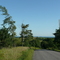 Northumberland Hills with Lake Ontario in the Background, ON, Canada