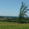 Near Bailieboro between Rice Lake and Peterborough, ON, Canada