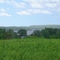 On the top of Cow Island