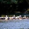 Trent Canal, Ontario