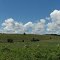 On the Oakridges Moraine in Northumberland County, ON, Canada
