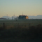 Near Shelburne, ON