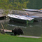 Grizzly at Tyax Lodge 01