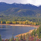 Plateau Lake 06 (moose)