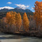 Tyaughton Fall 65 (Gold Bridge)