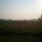 Haldimand County 2011