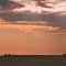 Serene Sun Rays Near Melita MB Aug '13