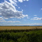 High River - A look at the Rocky Mountains