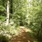 Green Path Kentucky