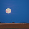 Harvest Moon