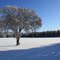Frosty Day - Research Farm Indian Head, Saskatchewan