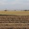 Indian Head in the Distance - Harvest