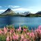 Johanson Lake Summer