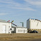 SWT terminal-agribusiness in Hazenmore