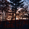 Evening at Quabbin