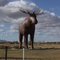 Giant moose sculpture in Moose Jaw, SK, Canada 2004