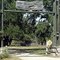 New Tracks Llama Ranch Bed & Breakfast