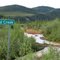 2010-06-25 Red Creek , looking north.