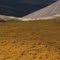 Dall Sheep Habitat