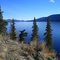 Little Salmon Lake