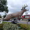 Deerwood, MN