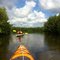 Kayaking Cape Corals Mangroves