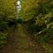 Road to Black Lake