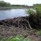 Beaver Dam